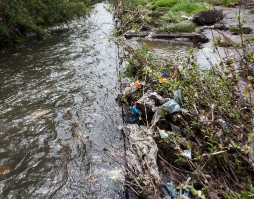 Storm water and litter