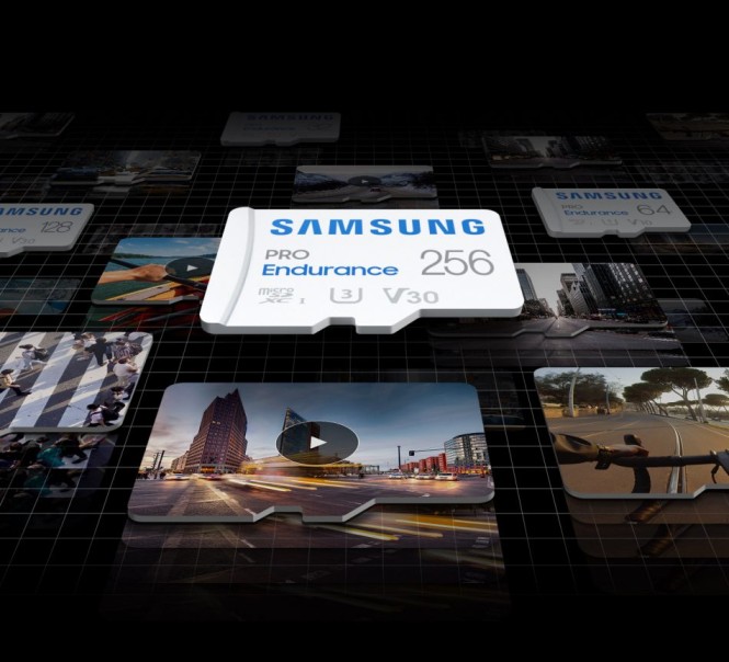 Samsung Pro Endurance Memory Card
