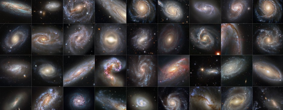 A Dazzling Collection of Supernova Host Galaxies
