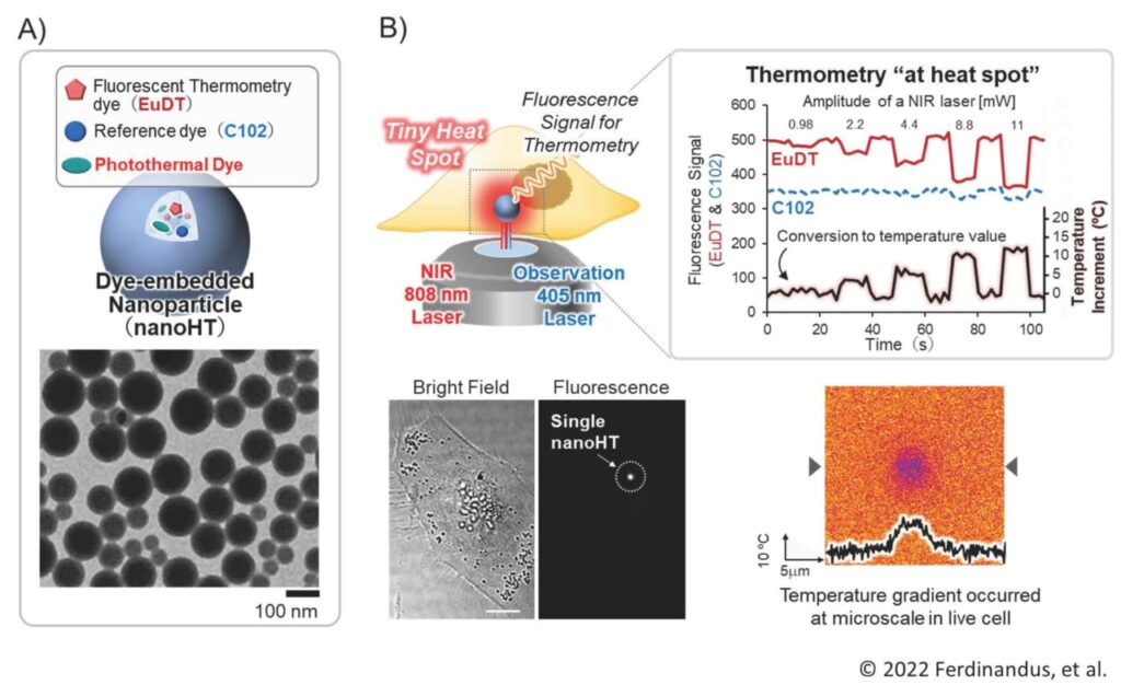 Microscopic system for nanoheating.